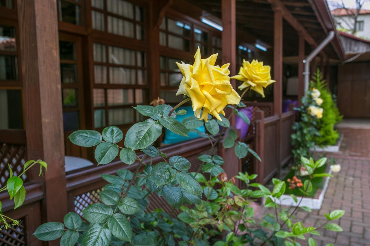 Carsi Pansiyon Амасра Екстер'єр фото